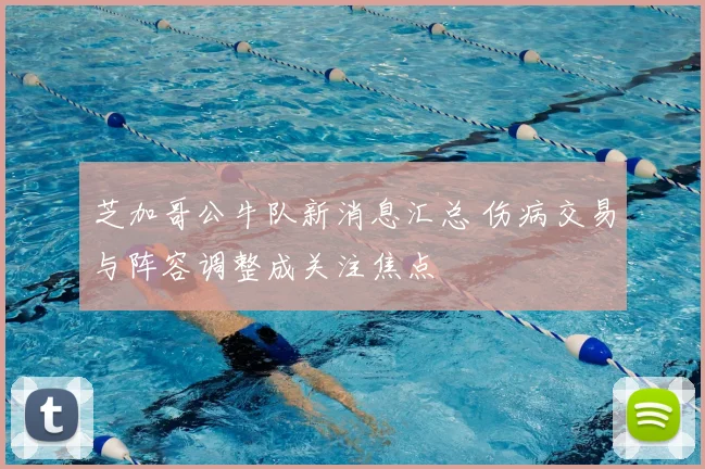 芝加哥公牛队新消息汇总 伤病交易与阵容调整成关注焦点