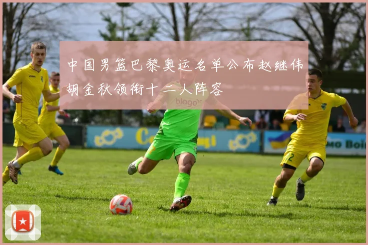 中国男篮巴黎奥运名单公布赵继伟胡金秋领衔十二人阵容