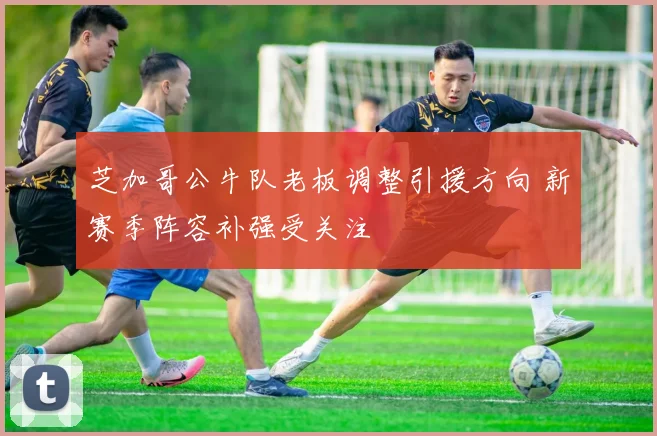 芝加哥公牛队老板调整引援方向 新赛季阵容补强受关注