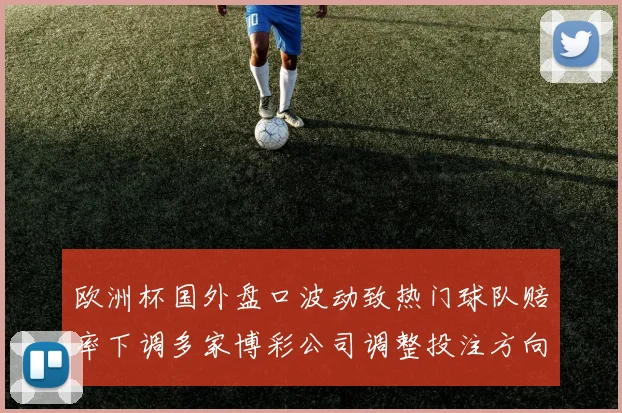 欧洲杯国外盘口波动致热门球队赔率下调多家博彩公司调整投注方向