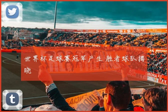世界杯足球赛冠军产生 胜者球队揭晓