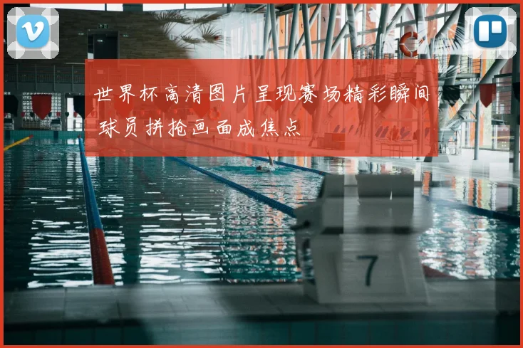 世界杯高清图片呈现赛场精彩瞬间 球员拼抢画面成焦点
