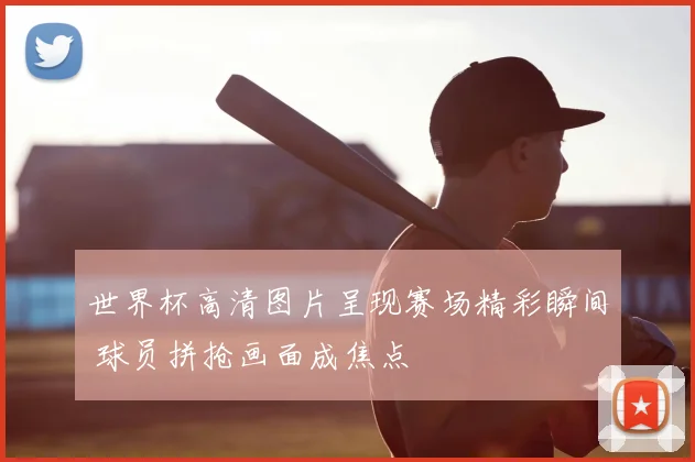 世界杯高清图片呈现赛场精彩瞬间 球员拼抢画面成焦点