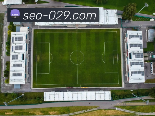 奇异果app官网下载入口平台生态图